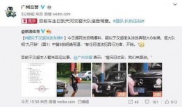 文泽园最新爆料视频播放,精彩瞬间回顾