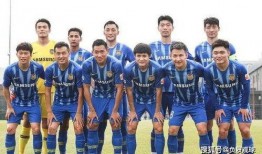 现役球员爆料最新消息,新赛季转会风云再起，揭秘转会市场最新动态！”